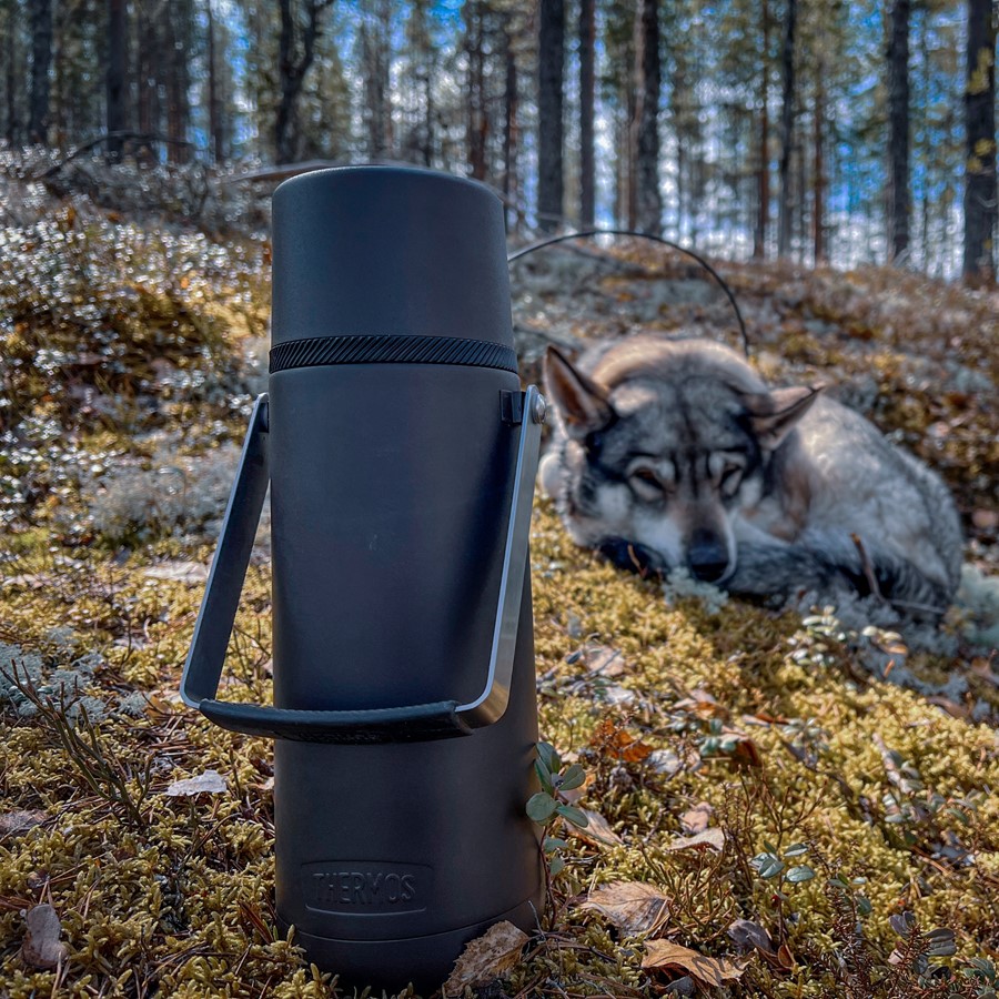 Термос для напитков THERMOS GUARDIAN TS-2409 BK